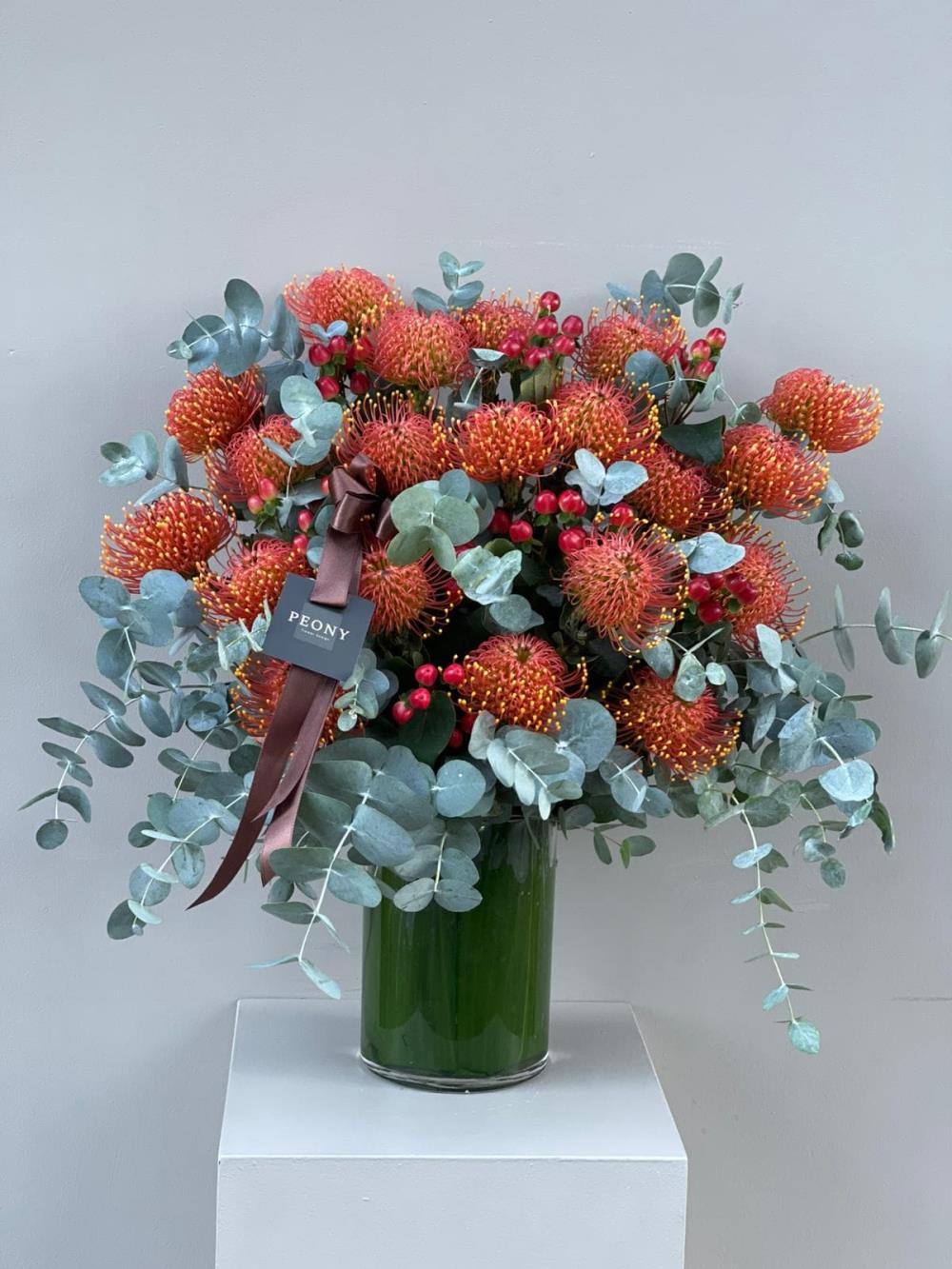Leucospermum 